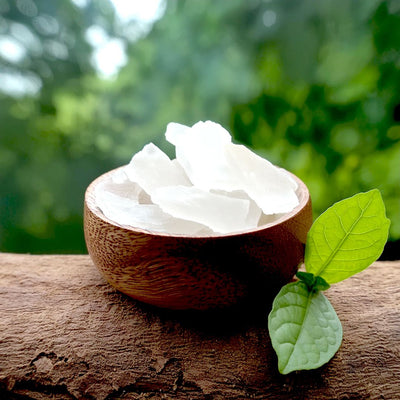 Camphor